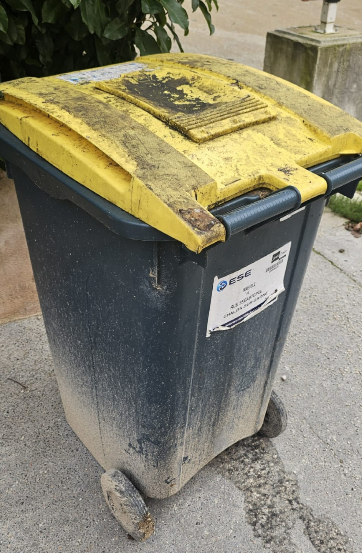 Bac poubelle sale avant lavage — extérieur encrassé